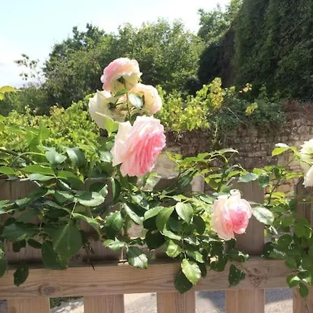 Holiday home Maison De Bourg Charras, 11 Personnes, Piscine *