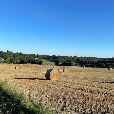 Maison De Bourg Charras, 11 Personnes, Piscine * Charras